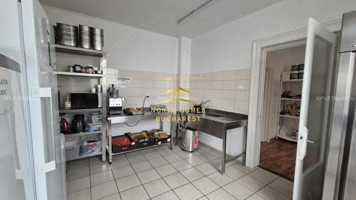 Spa?iu Comercial de Vanzare in Domenii 14 Camere, 351 mp Teren - 3