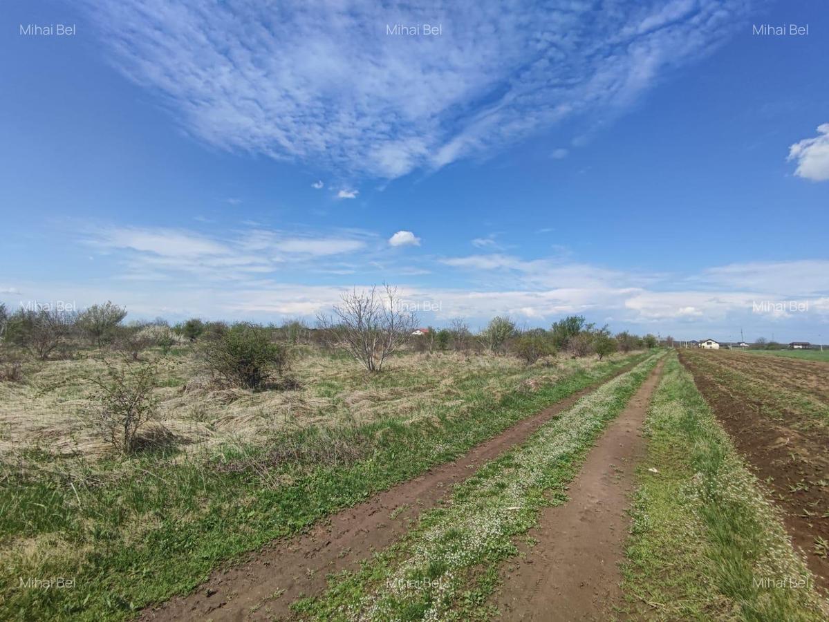 SUPER OFERTA - Loturi teren Peris - 1 SUPER OFERTA - Loturi teren Peris - 1