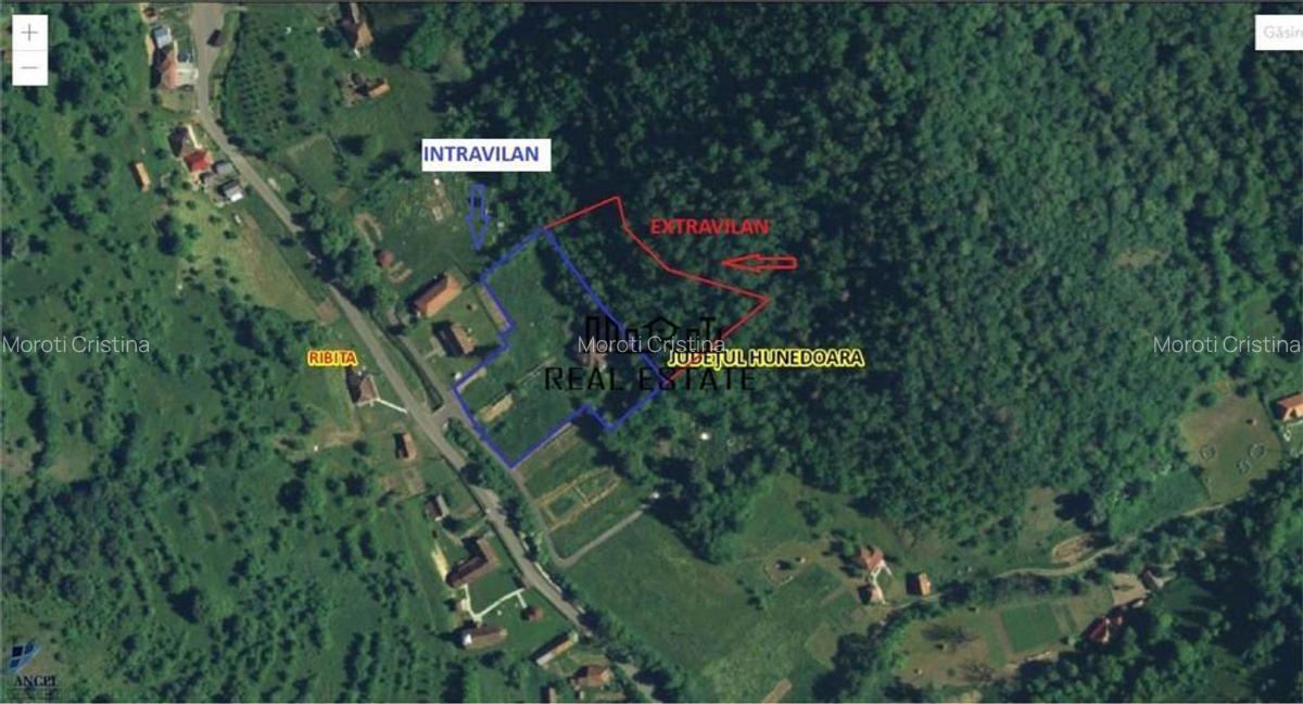 Teren, padure si casa in Dumbrava de Jos, jud. Hunedoara - 11