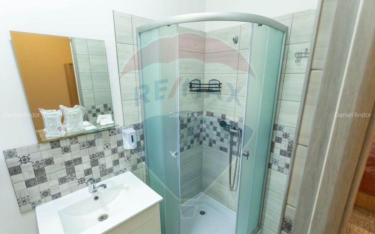 Pensiune agroturistica cu 6 camere + Casa de locuit, de... - 16