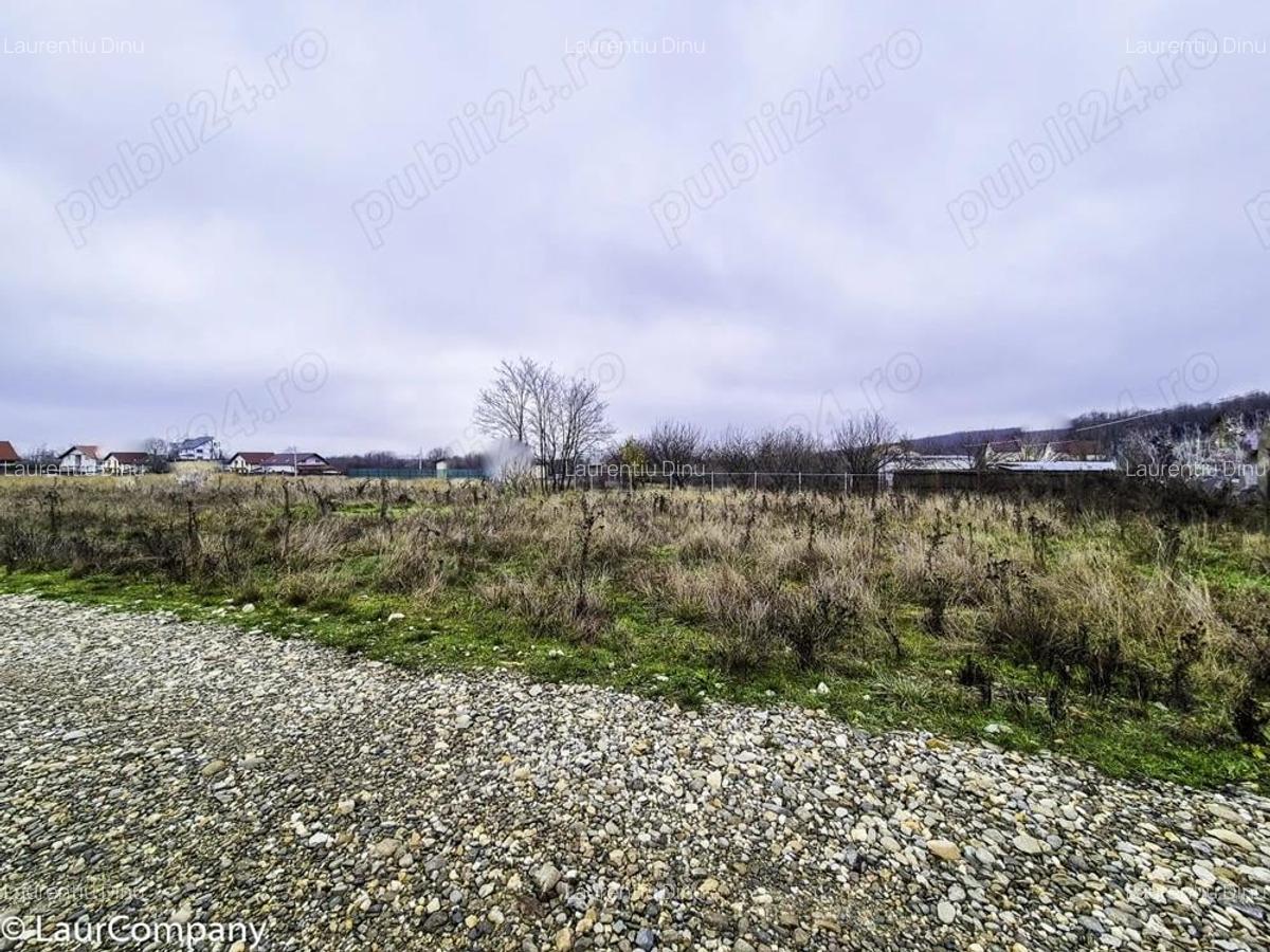 Teren intravilan Smeura Arges - 1