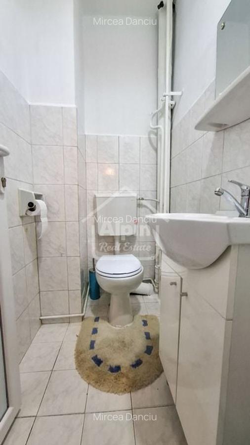 Suprafata Generoasa I Zona Gemenii - 20