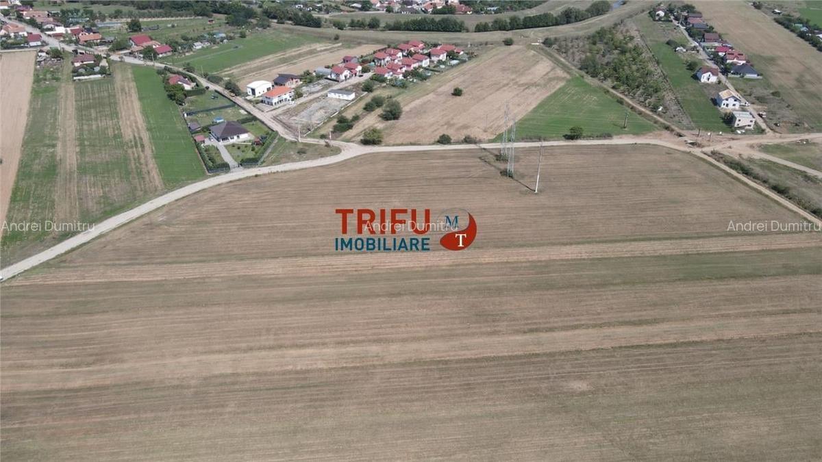 Teren intravilan cu apa si canalizare posibilitate de extindere - 5