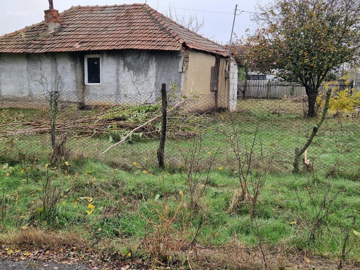 Dor Marunt, Calarasi - 9