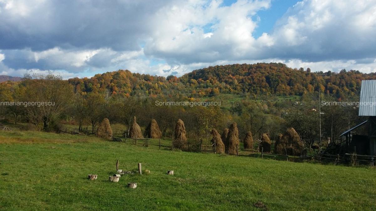 Teren Vanzare cu utilitati si acoperis - Optional rulota functionala - 2