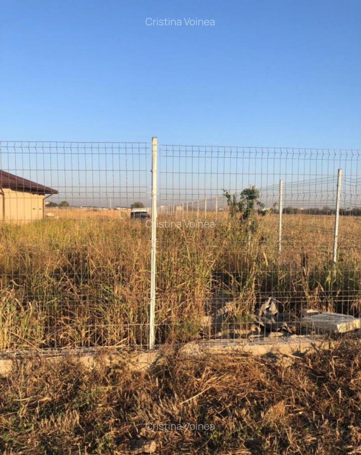 Teren intravilan 500 mp Magurele - 2