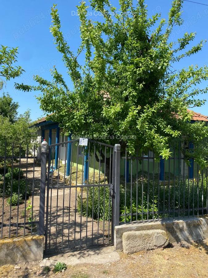 Casa la ?ara cu teren 1000 mp + posibilitate teren suplimentar 1922 mp Baneasa, judetul Giurgiu - 9