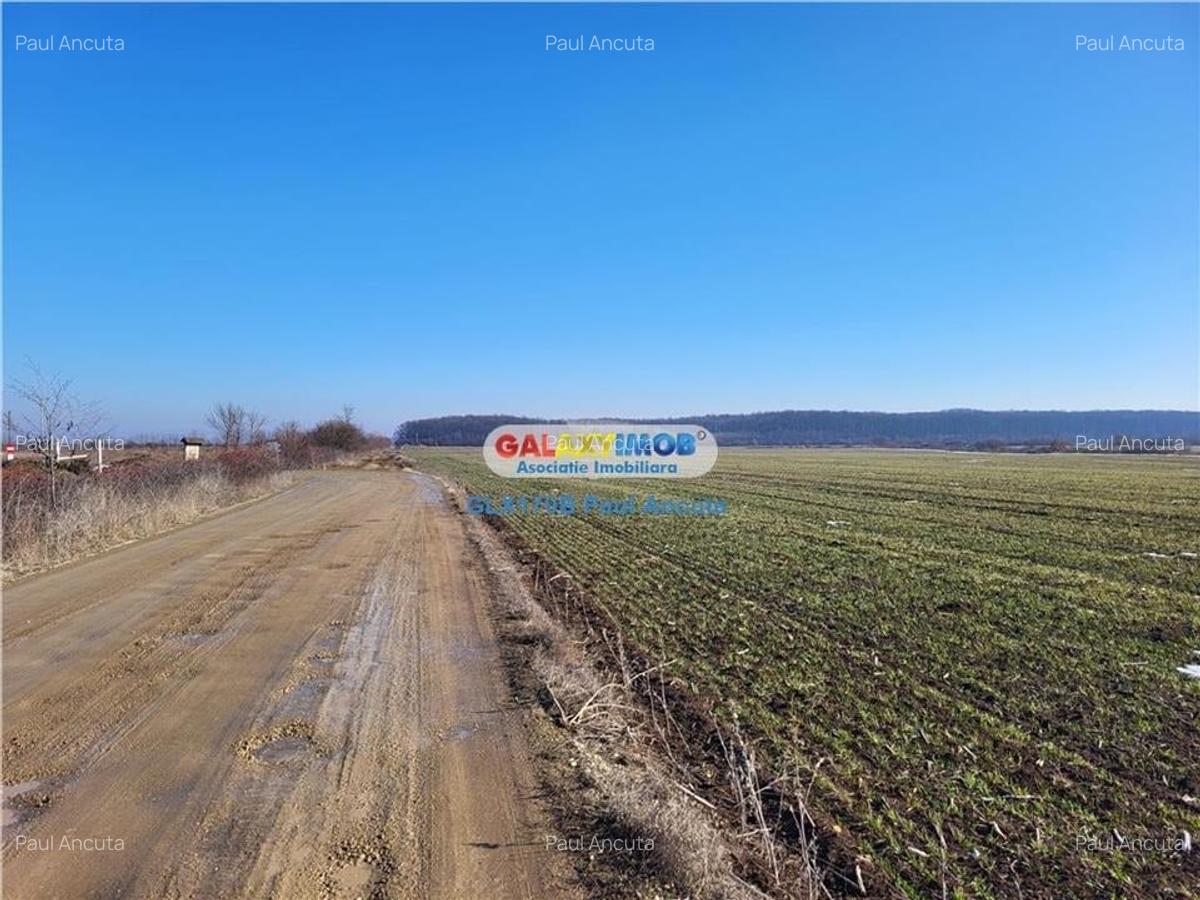 Teren latura Padure Corbeanca 15 Ha langa Flamingo 3 Intravilan - 1