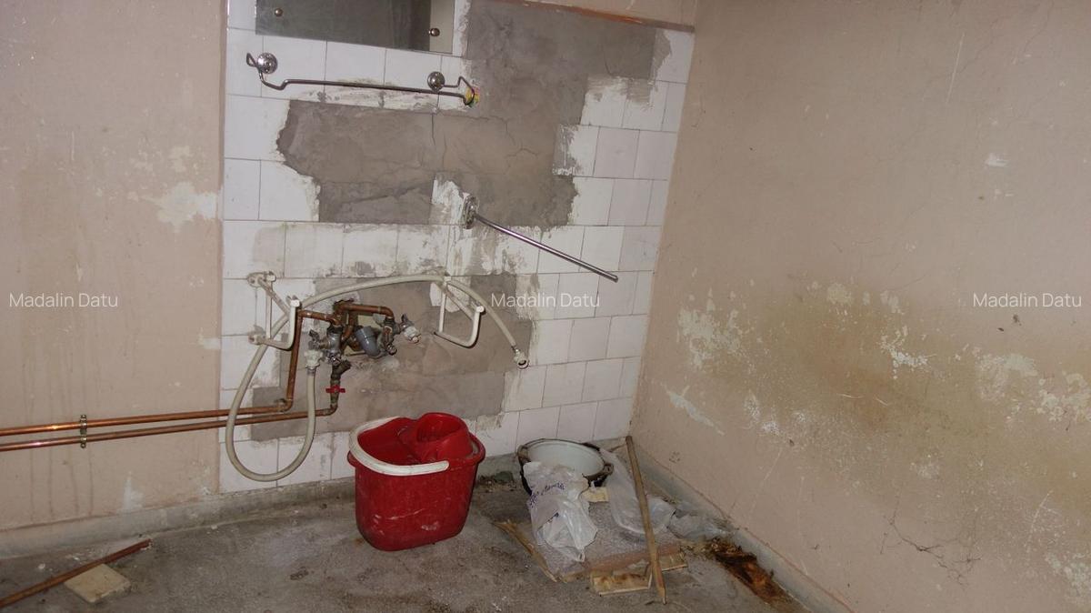 Calea  Victoriei-Piata Sfintii Voievozi: 171mp+55 mp terasa - 30