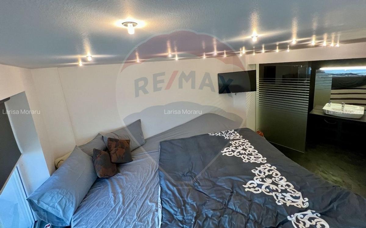 Apartament modern la Ared Uta - 3