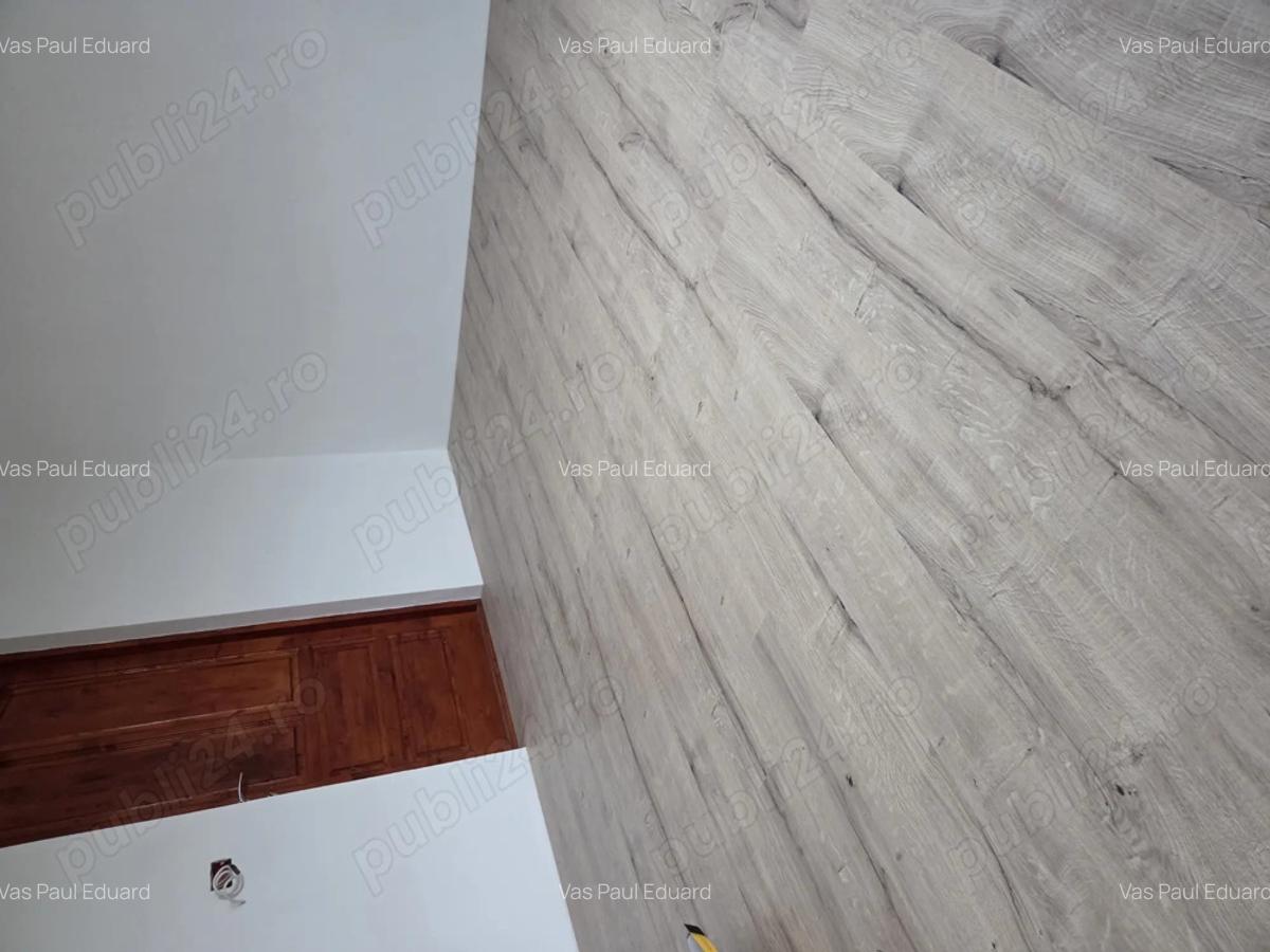 Vand casa la sanandrei - 9