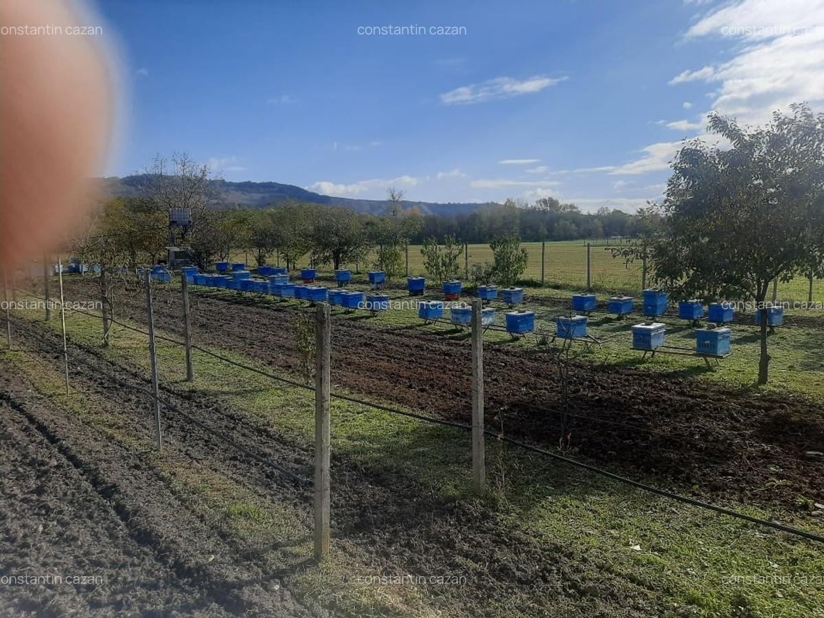 Vand parcela teren extravilan - 4