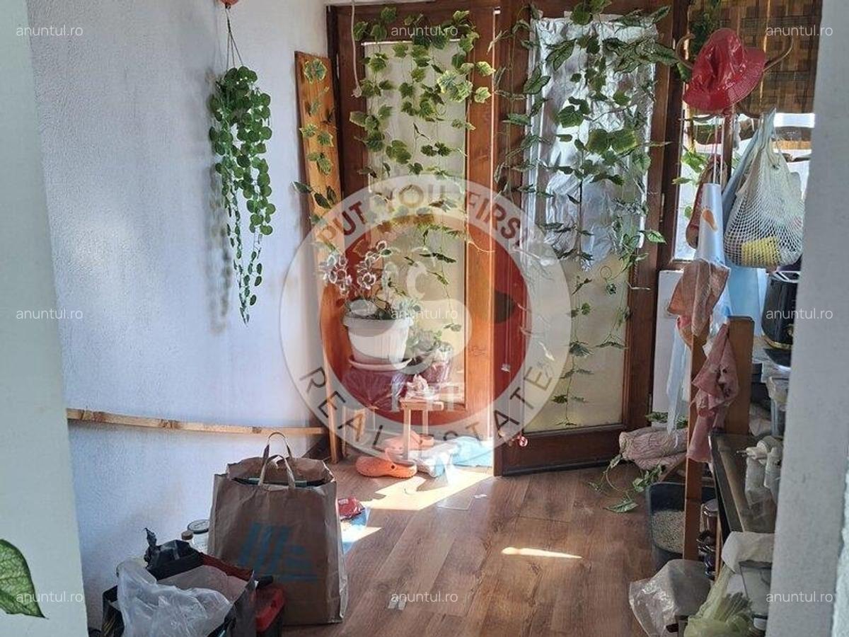 Facultatea artelor | Studio | 44mp | Semidec | B12089 - 3