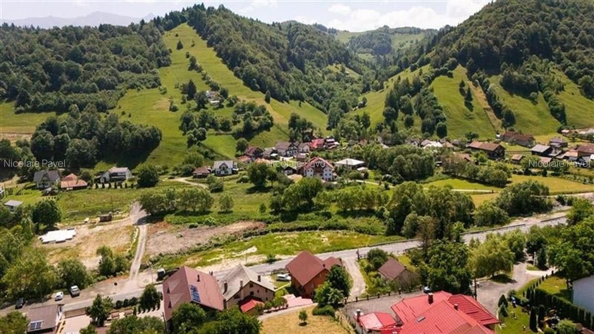 Tu 3D! Pensiune in areal pretios, Moieciu, Bran, Brasov - 22