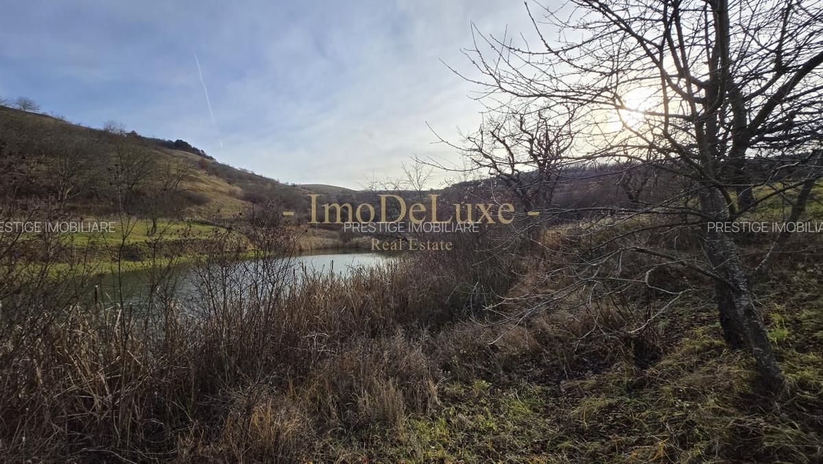 Teren extravilan langa lac, 8500mp, priveliste, acces, utilitati, zona Baciu - 3