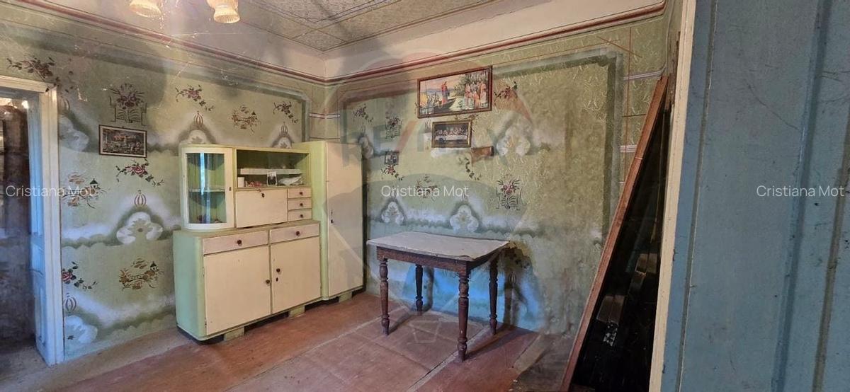 Teren si casa cu teren generos in Socodor - 3 Teren si casa cu teren generos in Socodor - 3