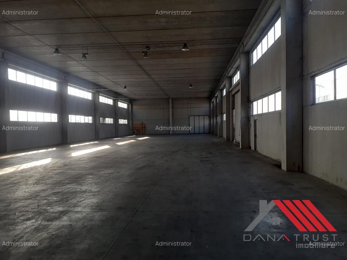 Hala depozitare  - Logistica  C. Lugojului acces TIR - 2