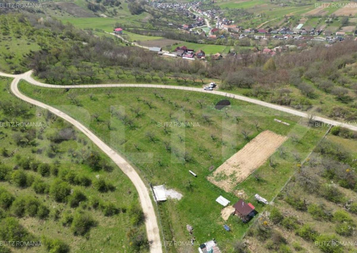 Teren extravilan de vanzare, 4.854 mp, zona nord-vest - 1