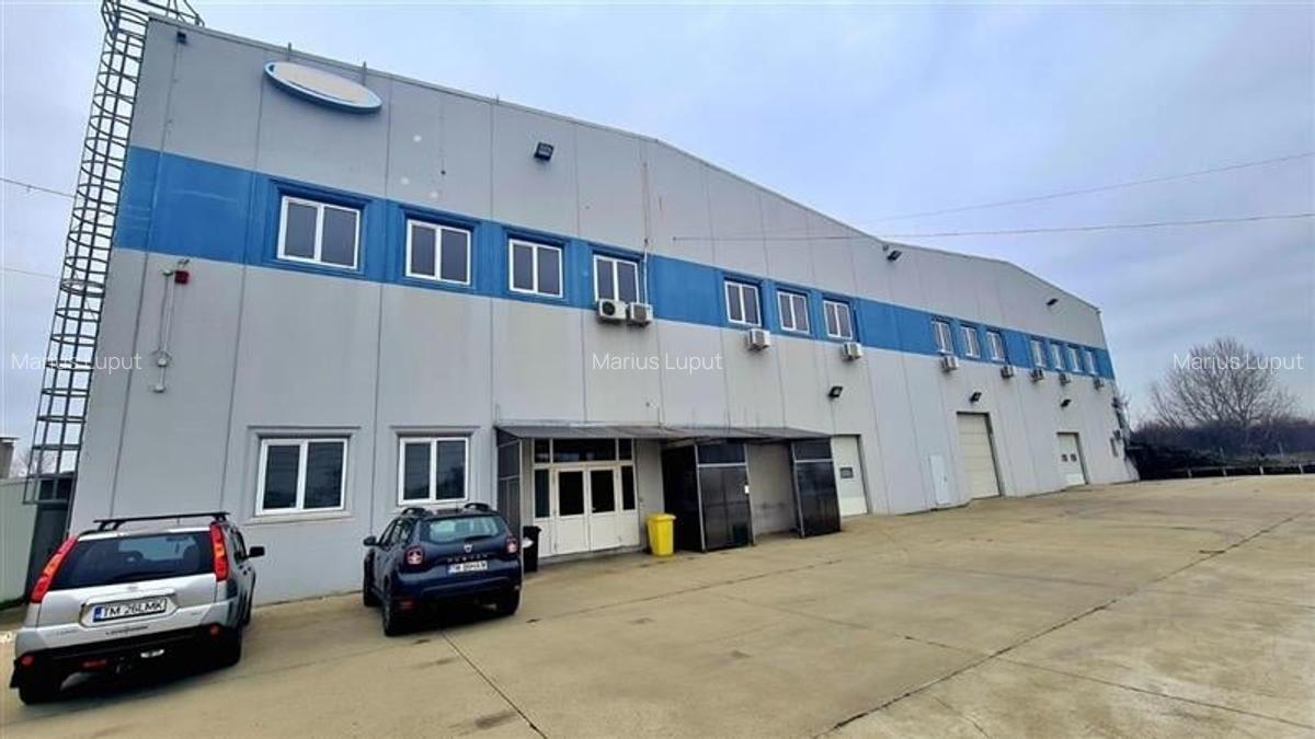 Hala industriala 6000mp, curent 1MW, Timisoara Vest - 2