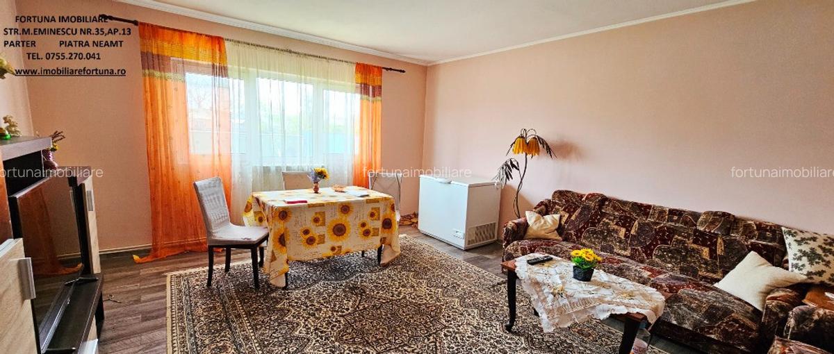 Proprietate Slobozia-Roznov, casa mansardata, teren si livada - 3