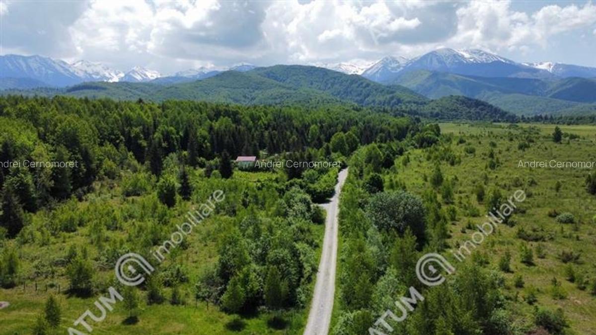 Teren intravilan de vanzare 3000 mp pe Valea Avrigului - 3