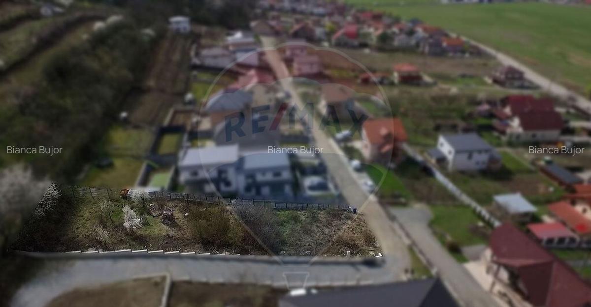 Teren intravilan de vanzare - 730mp - Dezmir - Strada Pad... - 7