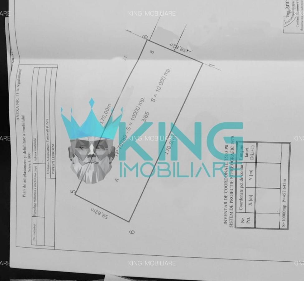 Teren Construcții intravilan de 10000 mp, în Central - 2