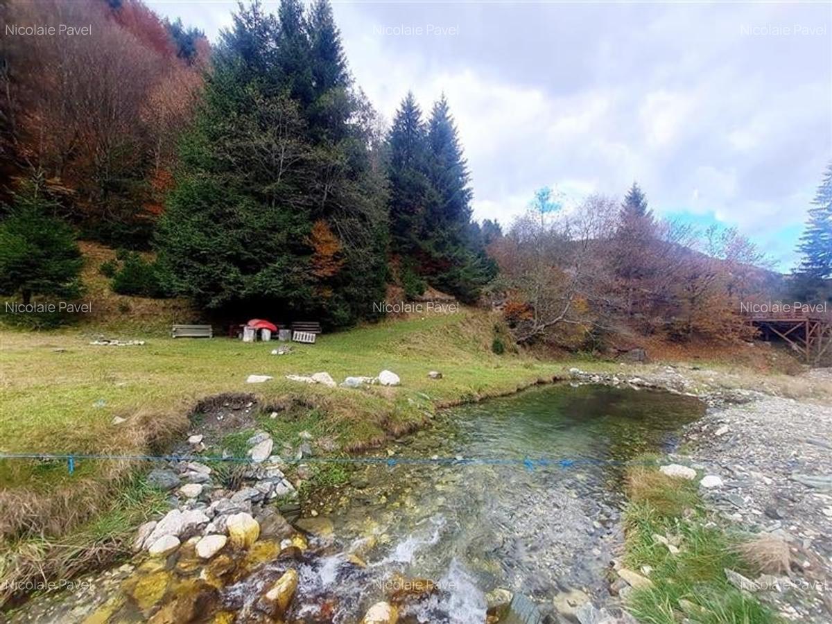 Teren intravilan panoramic 4.600mp,view iconic Piatra Craiului,oportunitate prem - 18