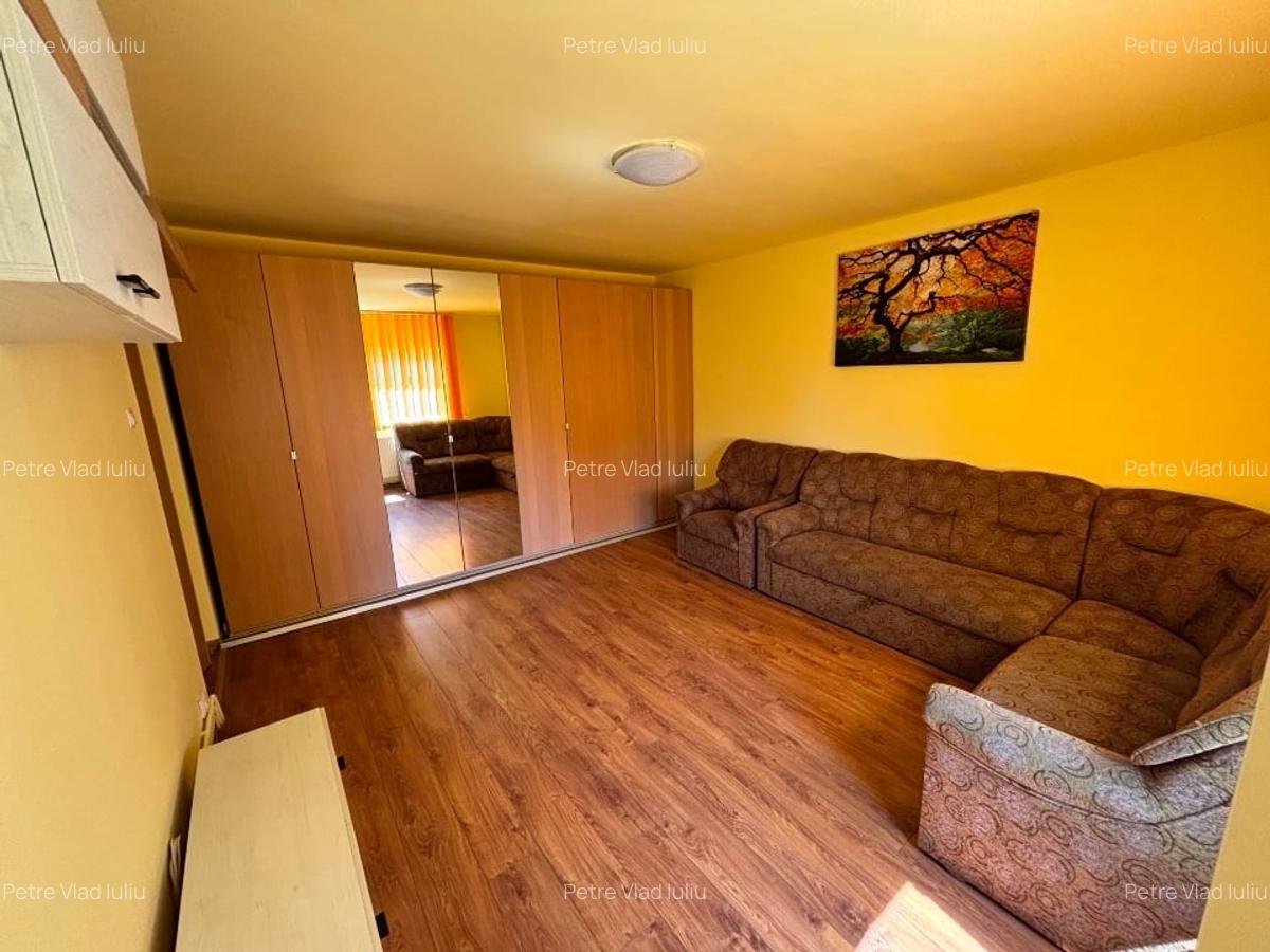 Apartament 3 camera Nasaud - 16