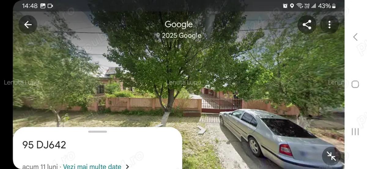 Casa Moldoveni Teleorman - 10