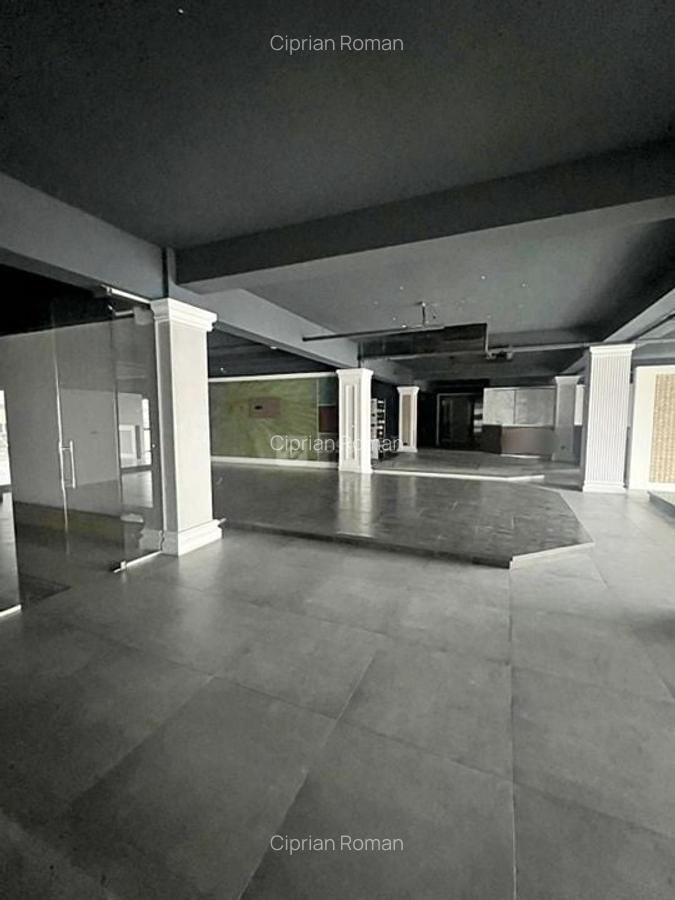 Tatarasi - Doi Baieti, spatiu 480mp de inchiriat, ideal showroom - 9 Tatarasi - Doi Baieti, spatiu 480mp de inchiriat, ideal showroom - 9
