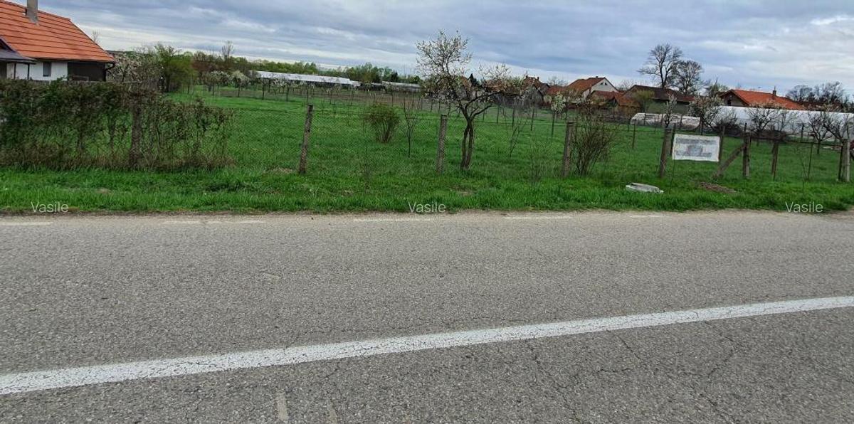 Teren intravilan de vanzare Balin?, jud. Timi? 1.230 mp - 3