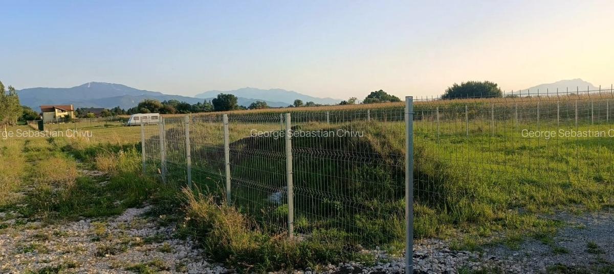 Lot pentru casa in zona foarte linistita si usor accesibila - 3