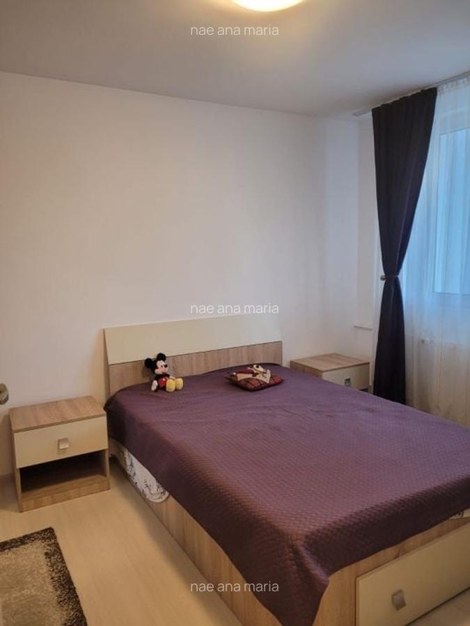 Apartament 2 camere de inchiriat Gorjului - 9