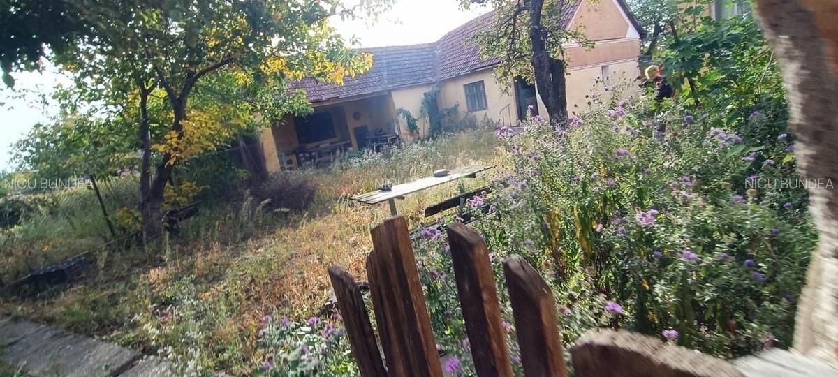 ?  Casă de Poveste în Șiria, Arad- Locație Rară - 17