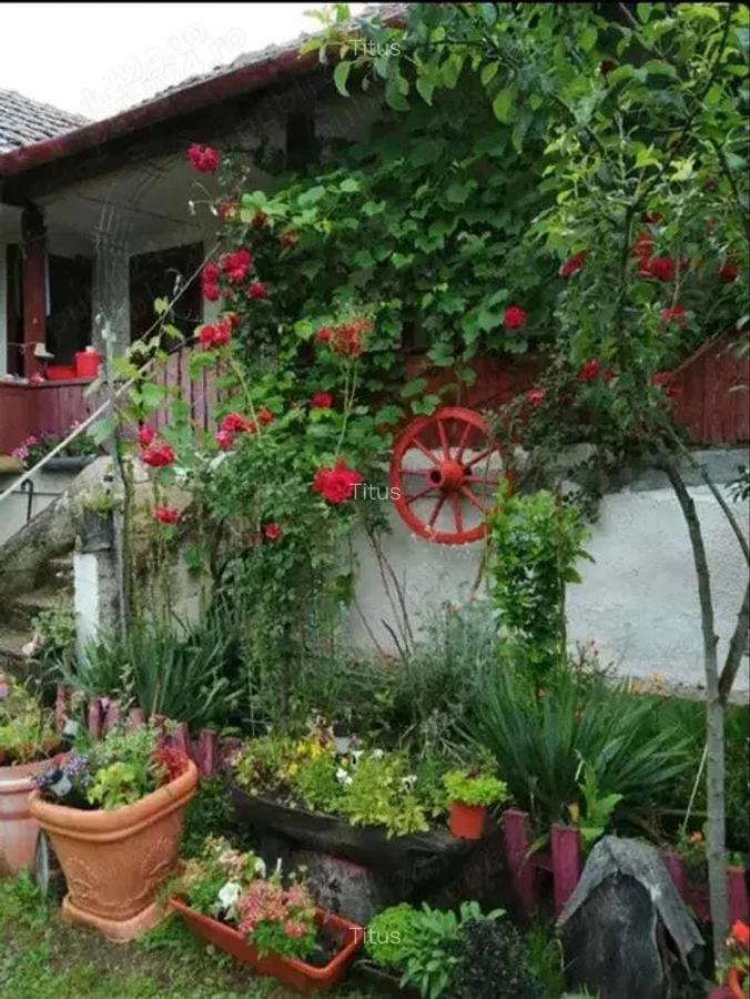 Vand casa si teren - 2
