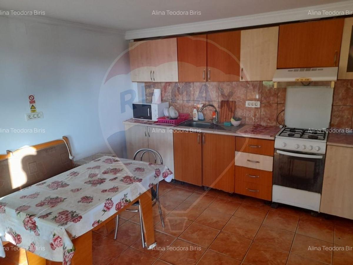 Casă individuală cu 5 camere în Vărădia de Mureș - 4