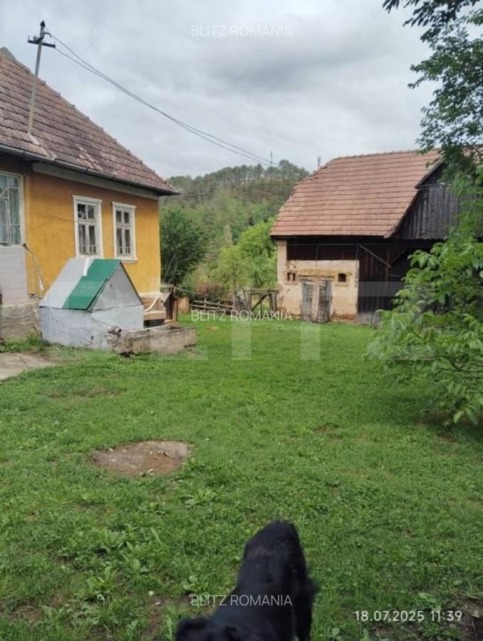 Proprietate in Iara 6.000  teren, ideala pentru casa sau investitie - 5