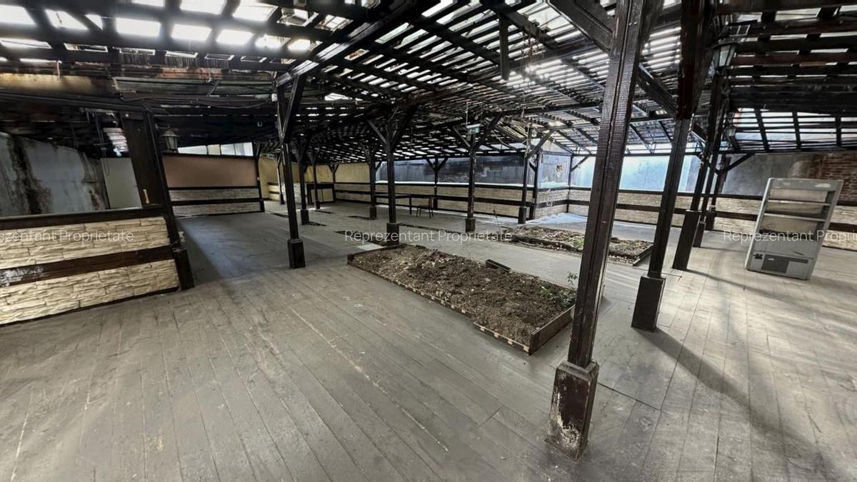Spațiu comercial, 300 mp în P-ța Amzei - 5