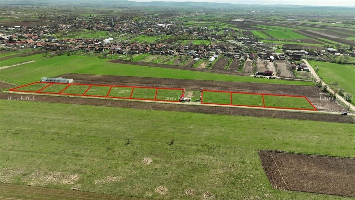 Teren Construcții intravilan de 600 mp, în Ineu - 3