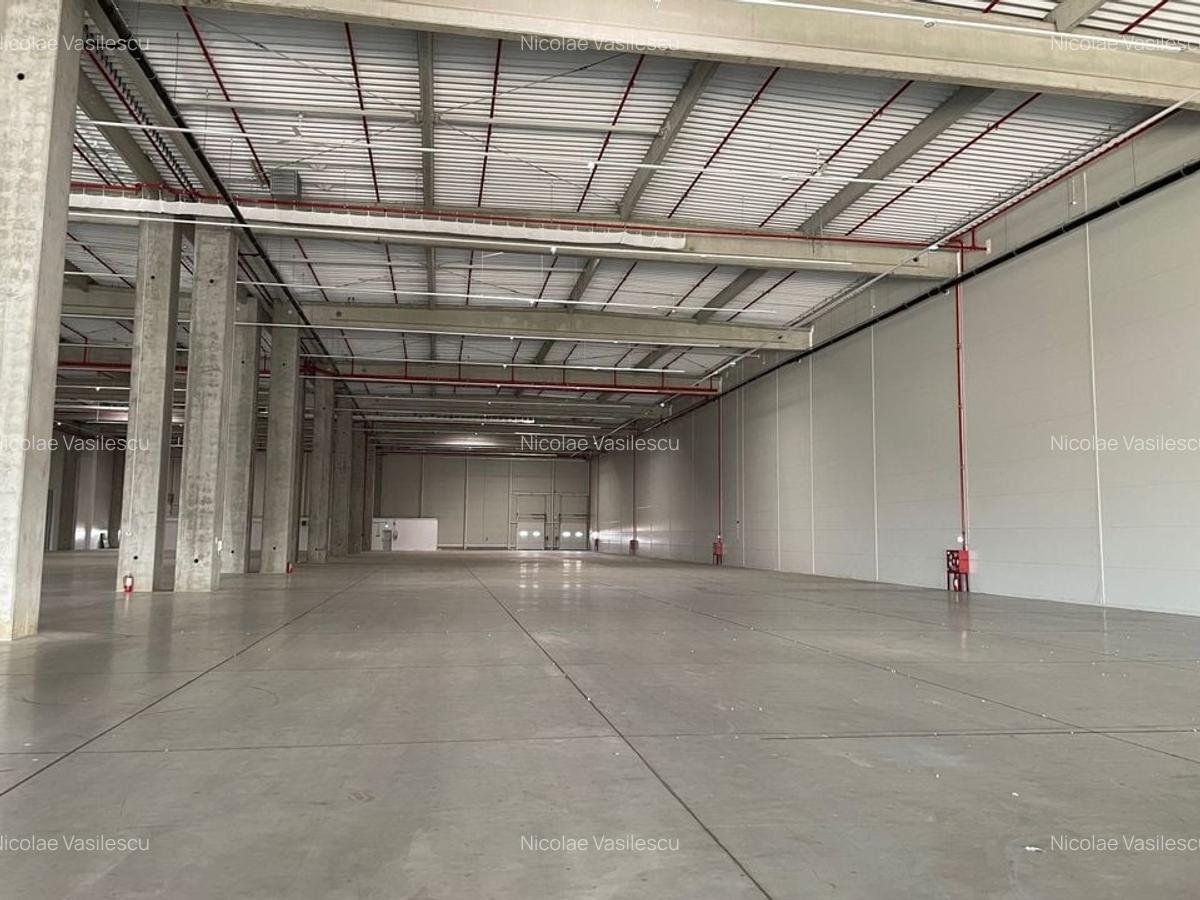Spatii de depozitare si productie Otopeni - Odai - 4