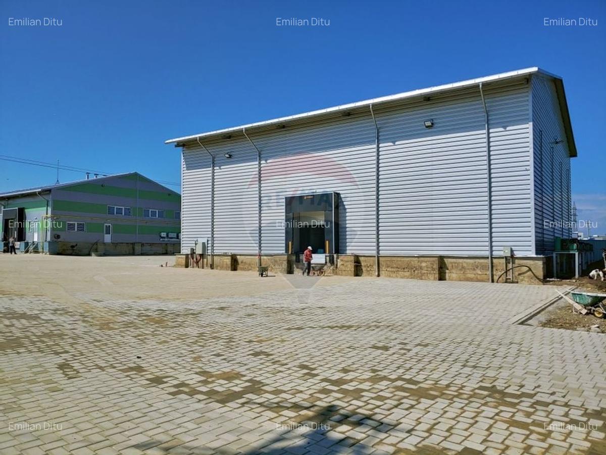 Depozit frigorific de 216 mp cu 4 celule, Scheia, Suceava - 2