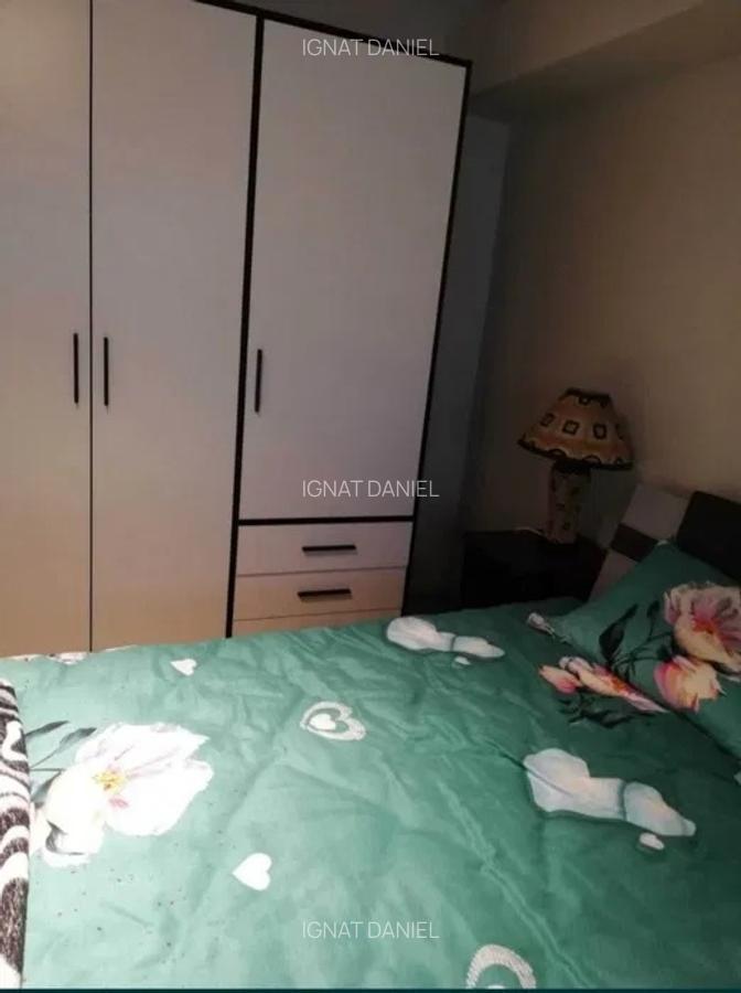 Apartament cu 2 camere, decomandat, zona Nicolina-Lidl - 2