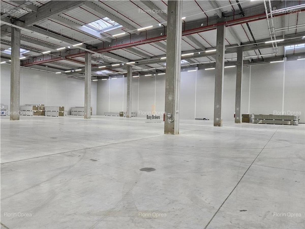 Spatiu Industrial - 6000 mp - Logistica - Productie - Depozitare - Distributie - 2