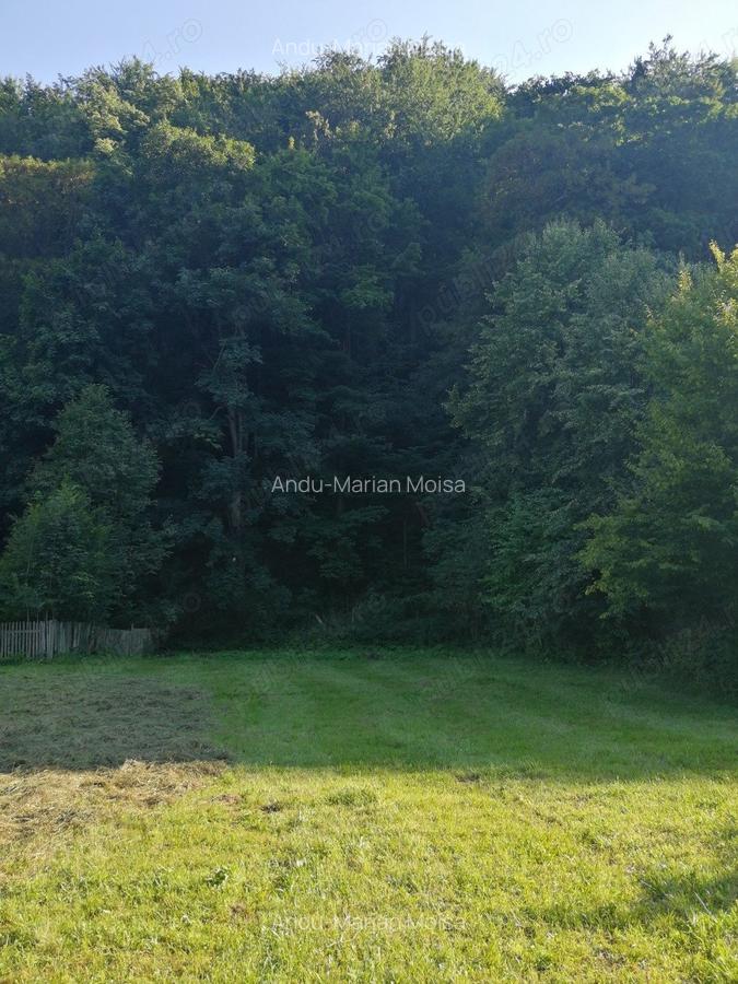 Vand casa batraneasca ?i teren 2500 mp la munte langa barajul Valea Uzului. - 3