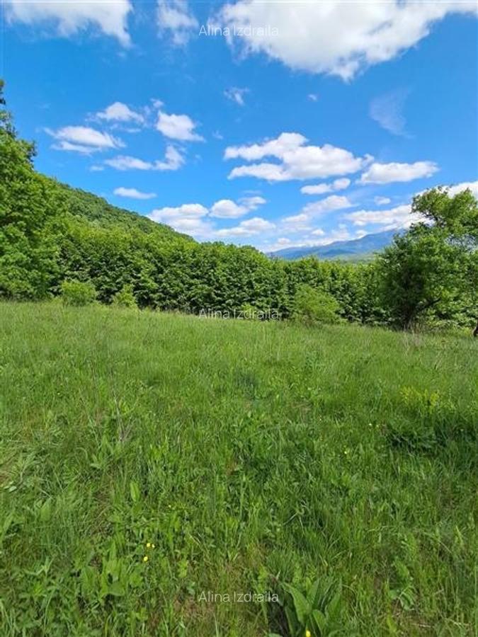 Teren  de vanzare la liziera padurii in Talmaciu - 9