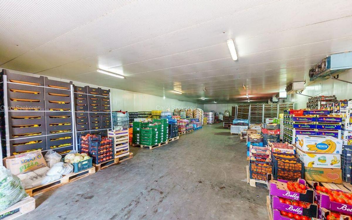 Depozit frigo de inchiriat in Sacalaz - 23