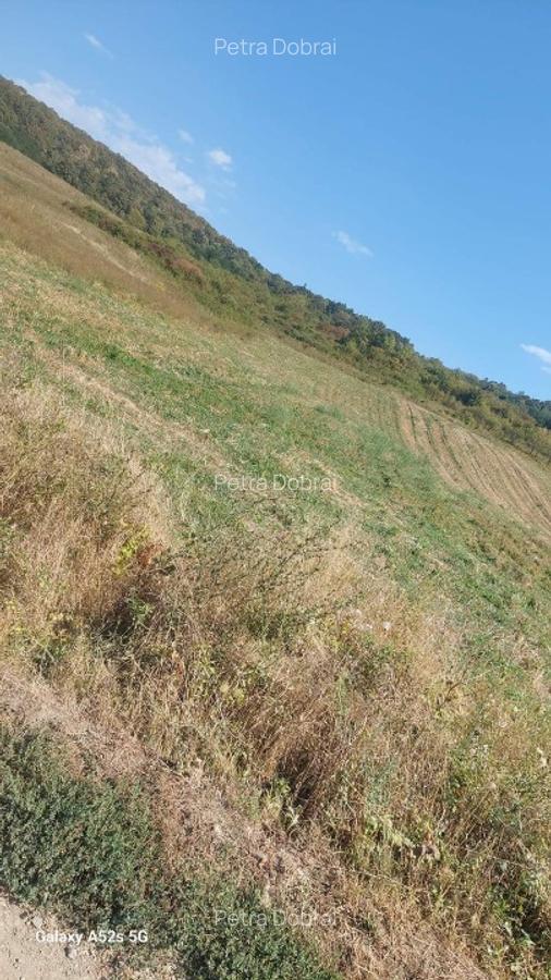 Vand teren intravilan in Panic - 2 Vand teren intravilan in Panic - 2