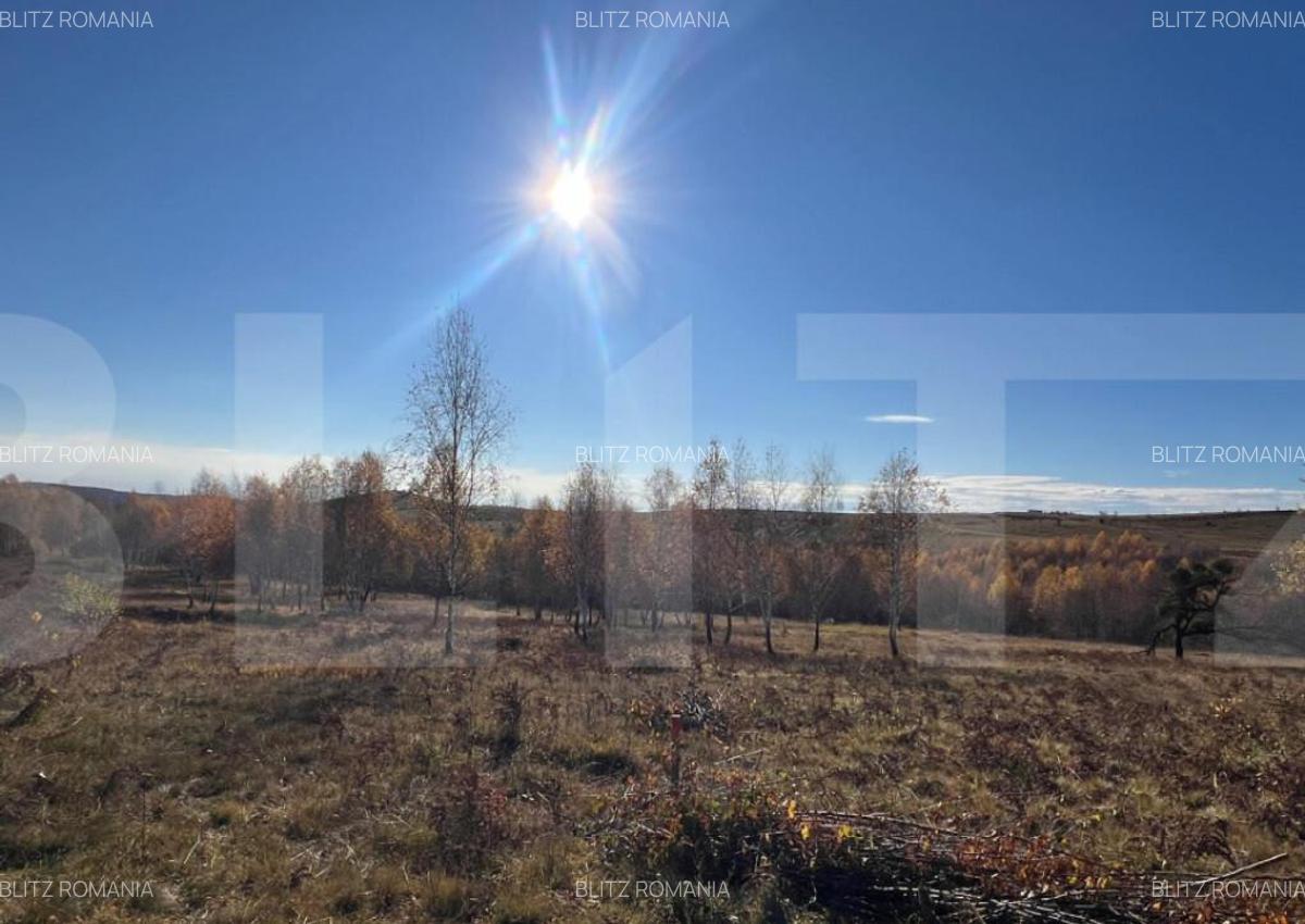 Teren construibil de vanzare, zona casele Micesti - 3