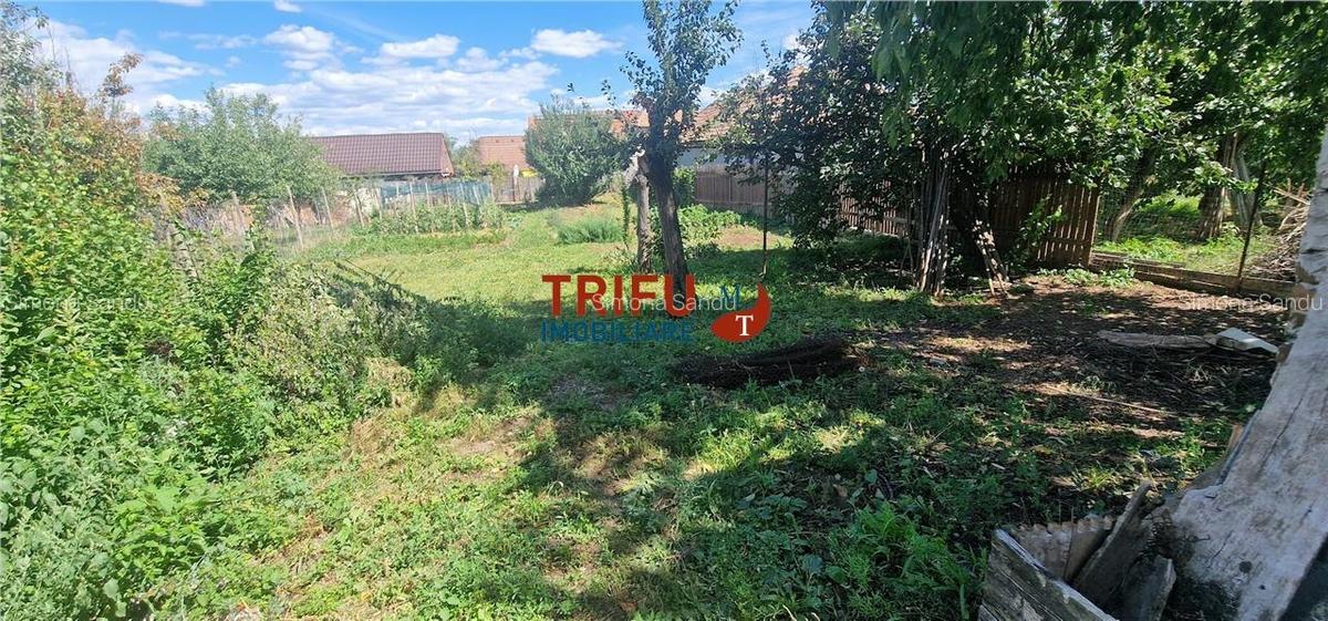 Casă 3 camere cu 733 mp teren la asfalt zona în cartierul Micești - 11